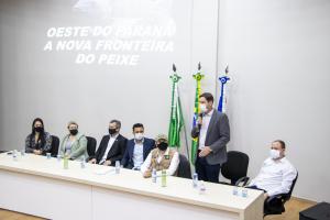 Galeria de Imagens