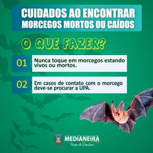 Foto Notícia